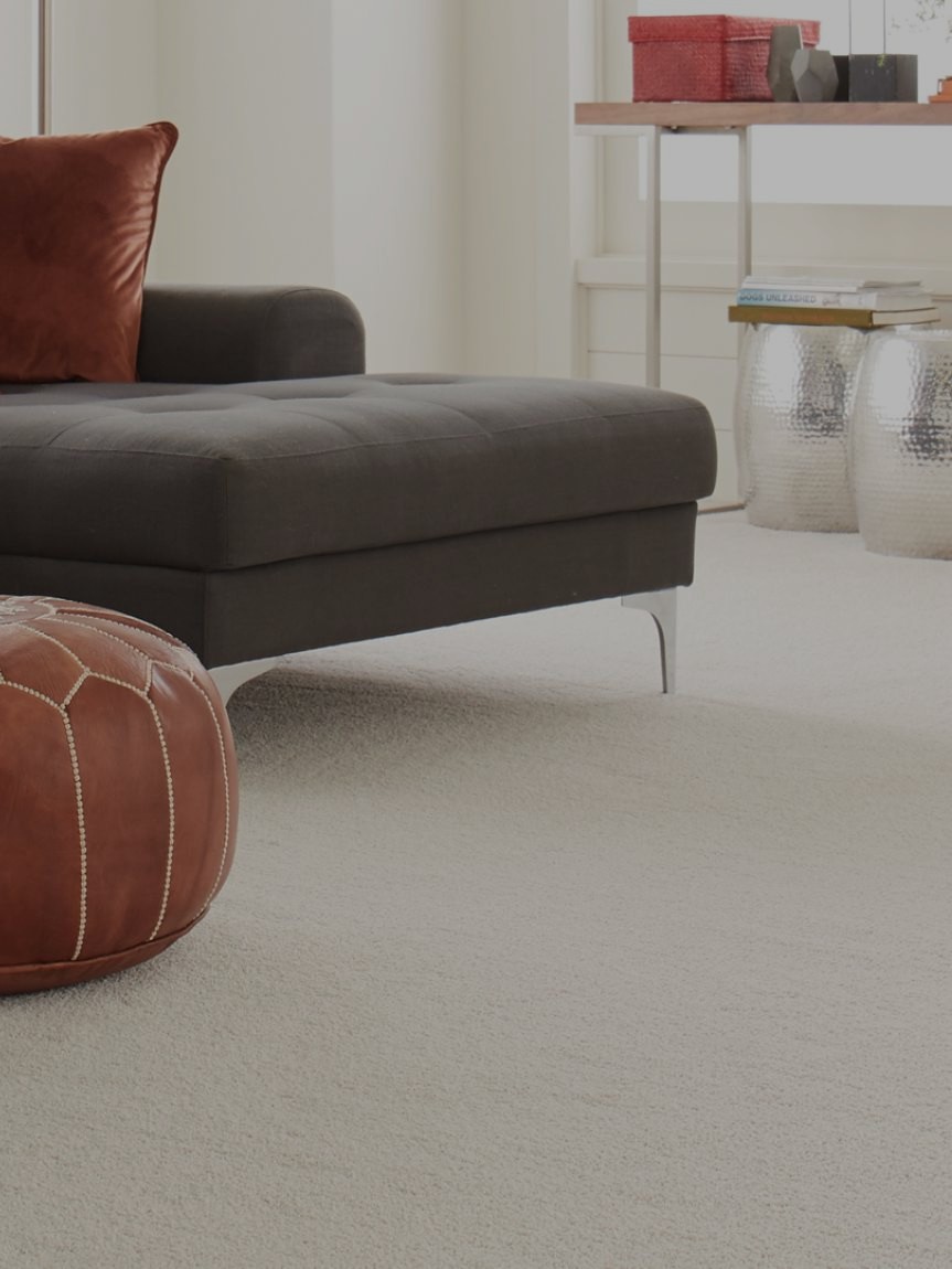 Presidents Day Flooring Sale