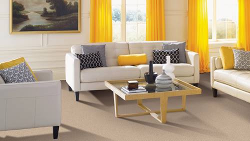 obriens-carpet-one-floor-home-colorado-springs-testimonials-carpet