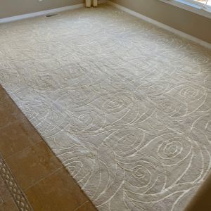 Gray area rug